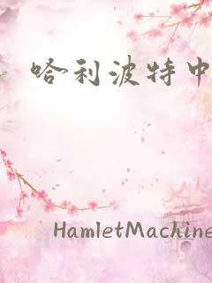 哈利波特中文版