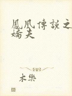 凤凰传说之独宠娇夫