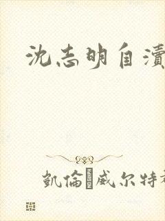 沈志明自渎事件