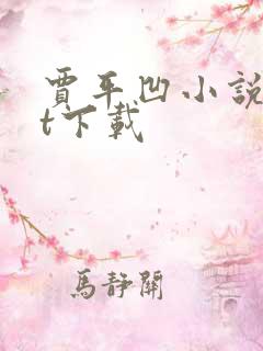 贾平凹小说txt下载