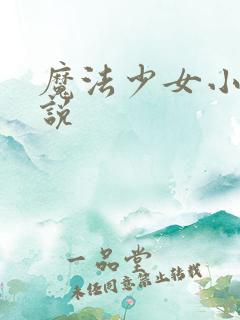 魔法少女小圆小说