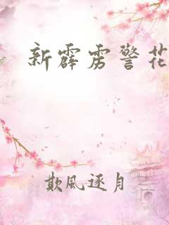 新霹雳警花