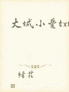 大城小爱txt