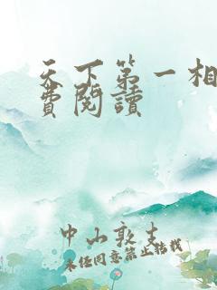 天下第一相书免费阅读
