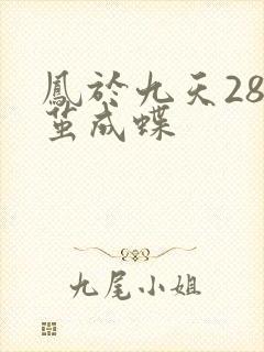 凤于九天28破茧成蝶