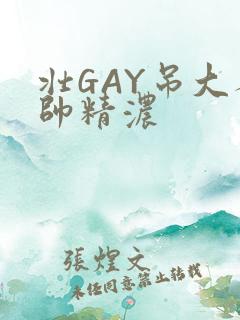 壮GAY吊大人帅精浓