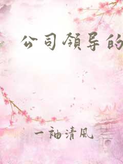 公司领导的老婆