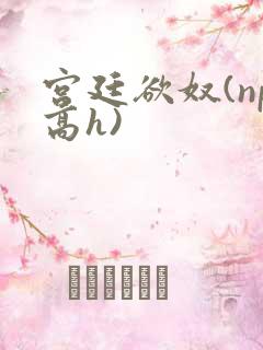 宫廷欲奴(np高h)