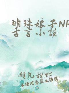 明珠娘子NPC古言小说