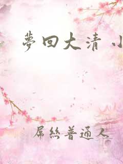 梦回大清 小说