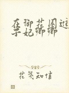 在御花园进入太子妃卿卿