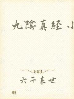 九阴真经 小说