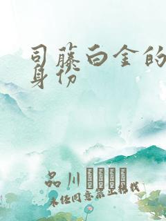 司藤白金的真实身份