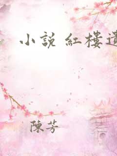 小说 红楼遗秘