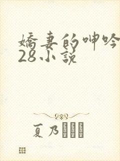 娇妻的呻吟1—28小说