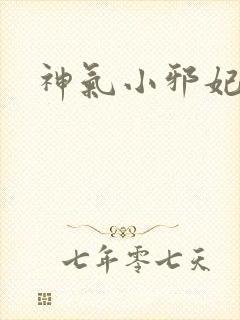 神气小邪妃