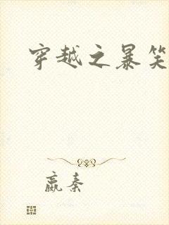 穿越之暴笑王妃