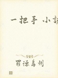 一把手 小说
