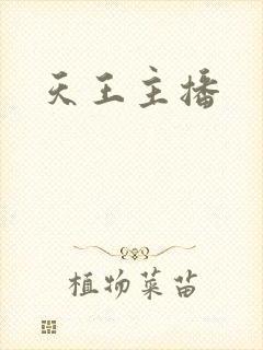 天王主播