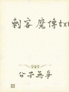 刺客魔传txt