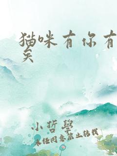 猫咪有你有我足矣