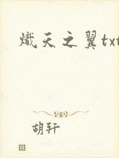 炽天之翼txt