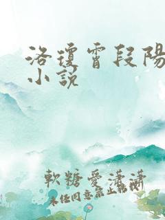 洛琼霄段阳澍的小说