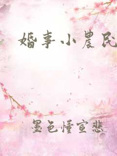 婚事小农民