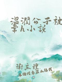 温润公子被脔日常h小说