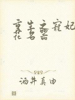 重生之宠妃白莲花名器