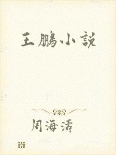 王鹏小说