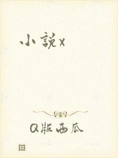 小说x