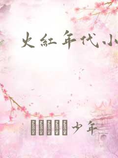 火红年代小说