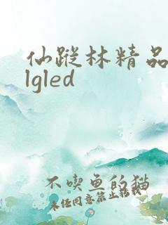 仙踪林精品zzlgled