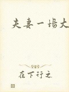 夫妻一场大结局