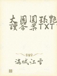 大团圆孙艳梅阅读答案TXT下载