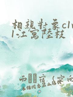 相亲对象c1v1江寓陆枝