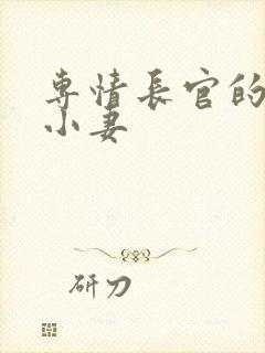 专情长官的天价小妻