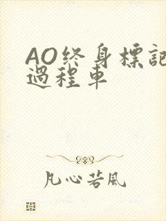 AO终身标记全过程车