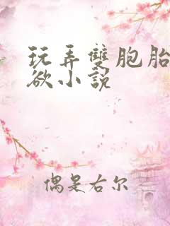 玩弄双胞胎的肉欲小说