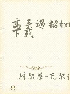 高手过招txt下载