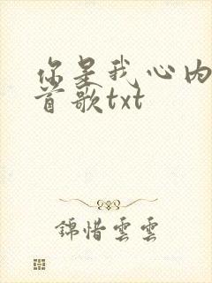 你是我心内的一首歌txt