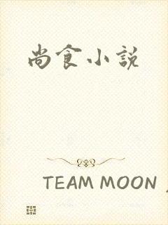 尚食小说