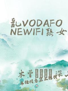 乱VODAFONEWIFI熟女