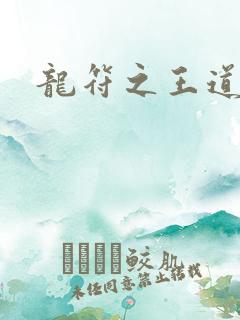 龙符之王道天下