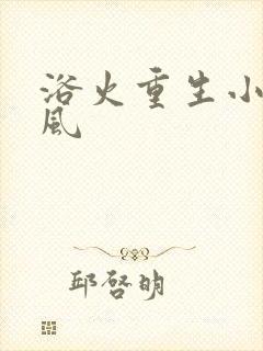 浴火重生小说陈风