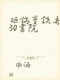 砸锅卖铁去上学30书院