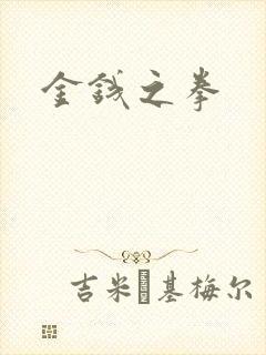 金钱之拳