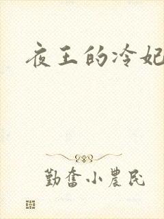 夜王的冷妃