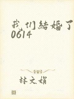 我们结婚了130614